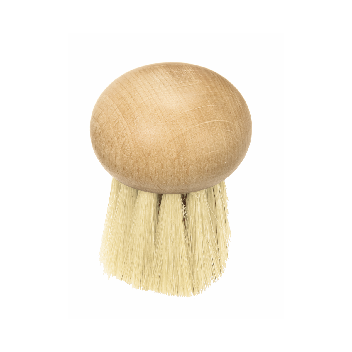 Brosse à Champignons