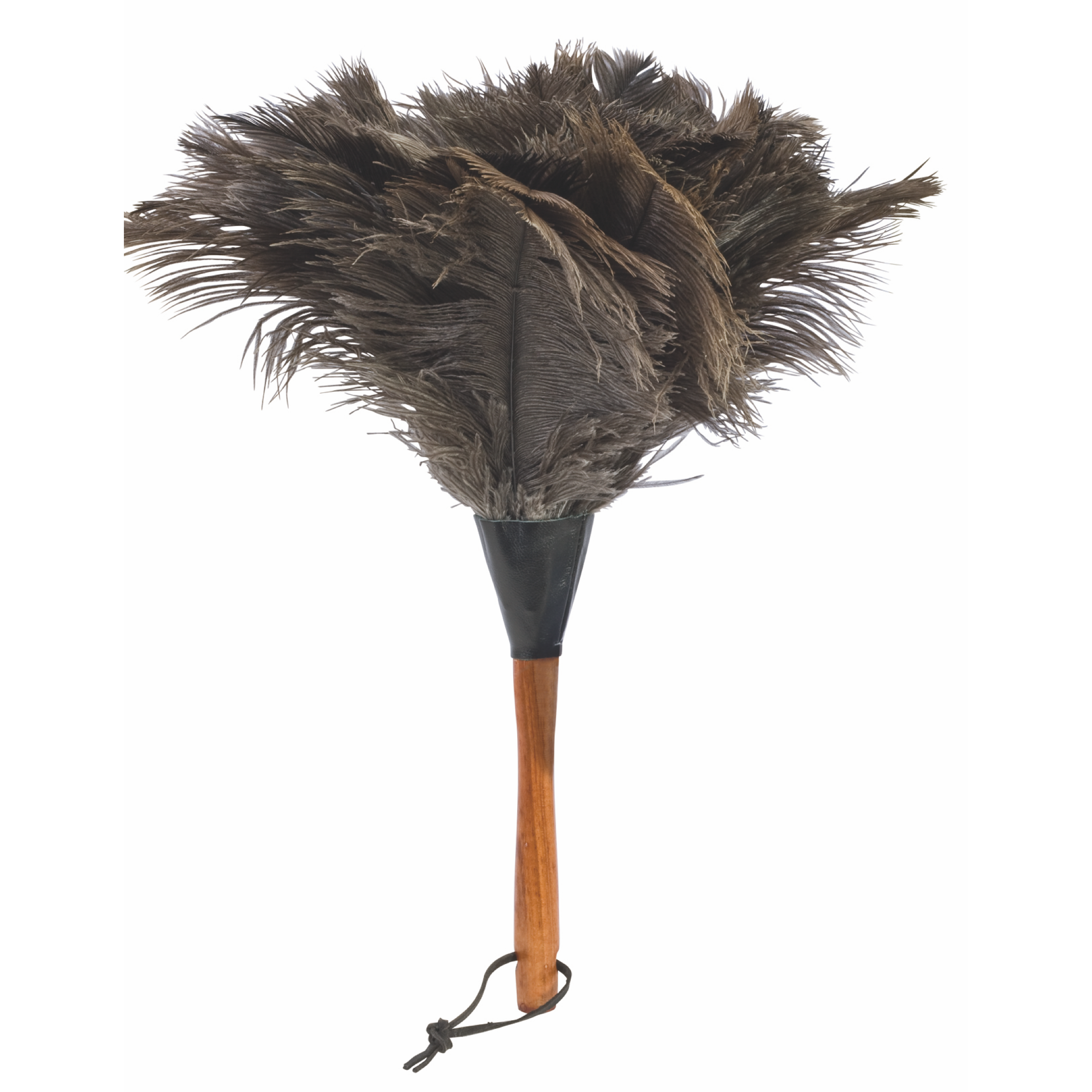 Plumeau en Plumes d'Autruche